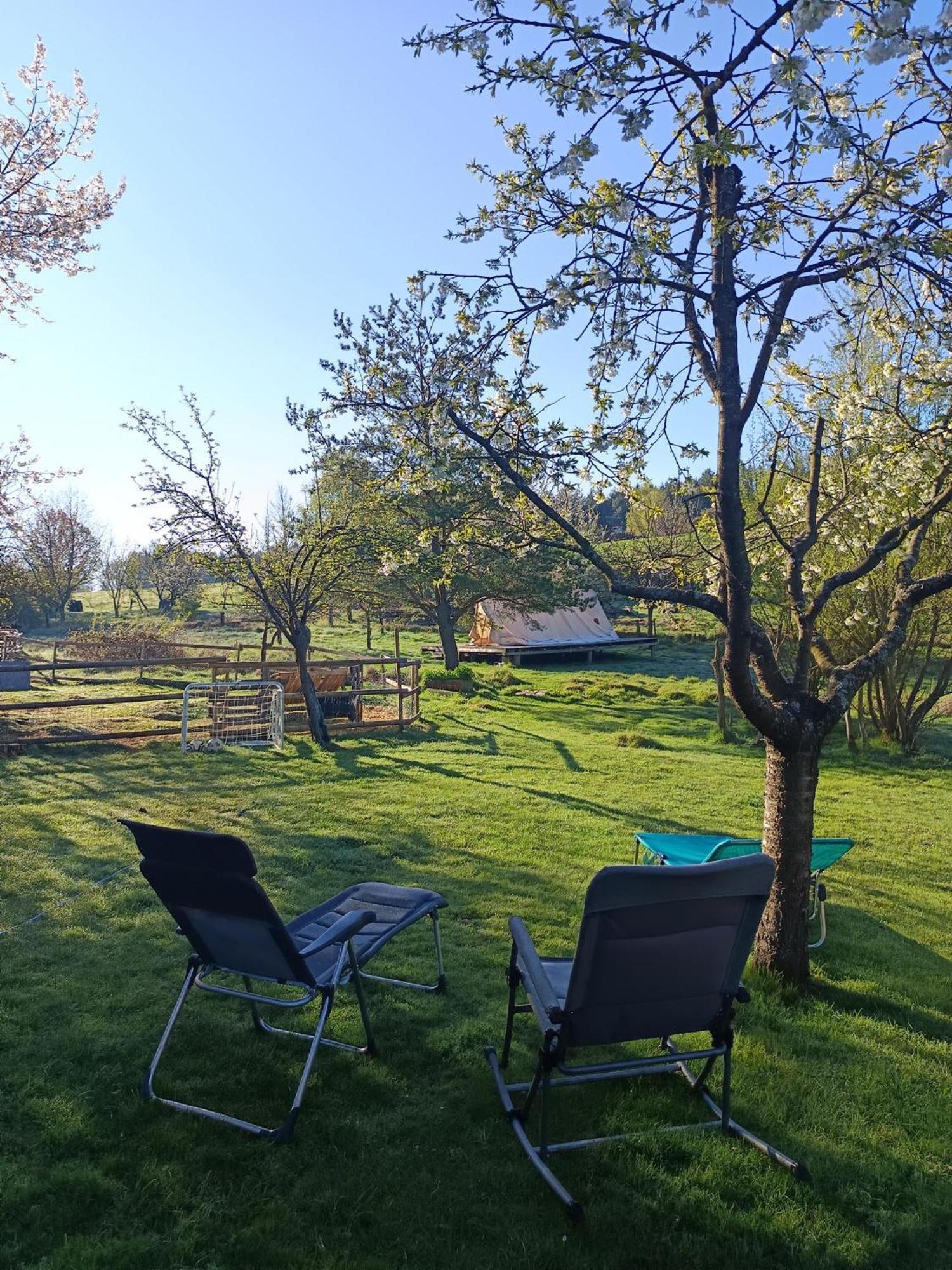 Die Alm In Schoellbuechl, Privatzimmer Sankt Martin  Εξωτερικό φωτογραφία
